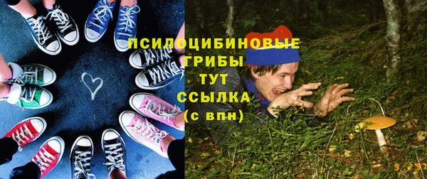гидра Весьегонск