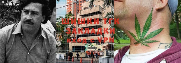 ГАЛЛЮЦИНОГЕННЫЕ ГРИБЫ Кулебаки
