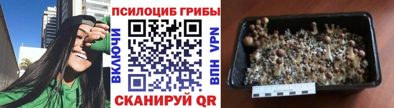 Псилоцибиновые грибы ЛСД  Лесозаводск 