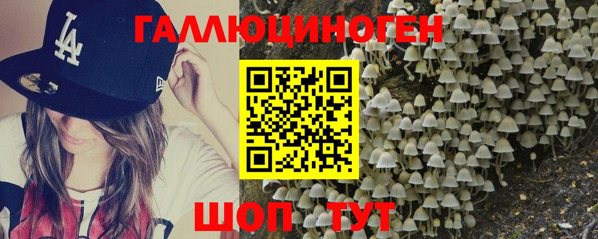 Псилоцибиновые грибы мухоморы  Галлюциногенные грибы мицелий  купить закладку  Лесозаводск  Вход с VPN 